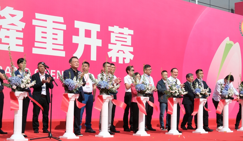 图片2